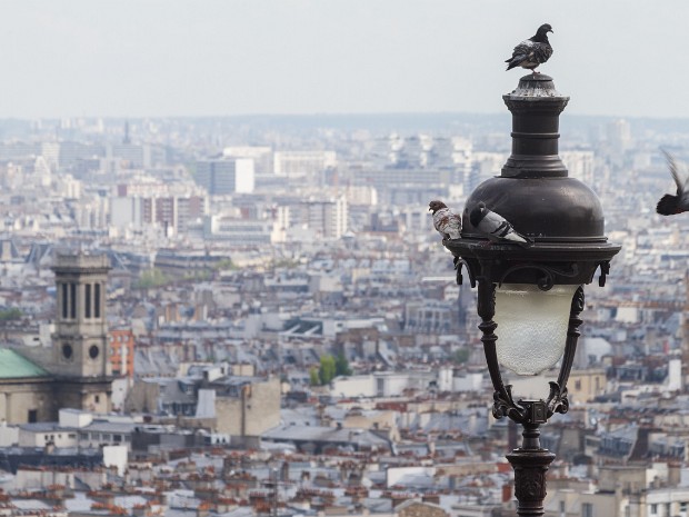 2012-05, Paris