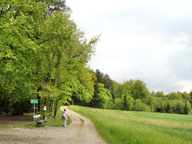 2013-05, Fruehling