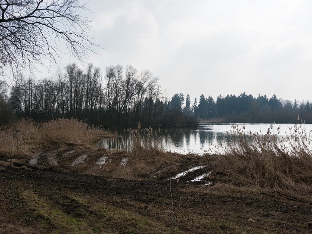 2014-03, Reuss