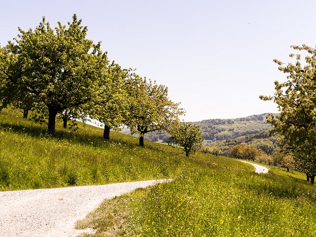 2016-05, Zeiningen-Wegenstetten