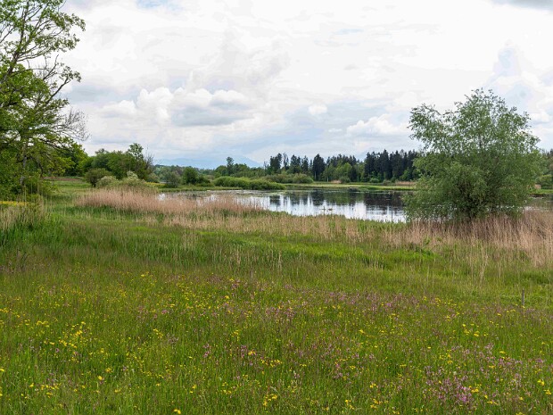 2019-05, Hallwilersee+Flachsee